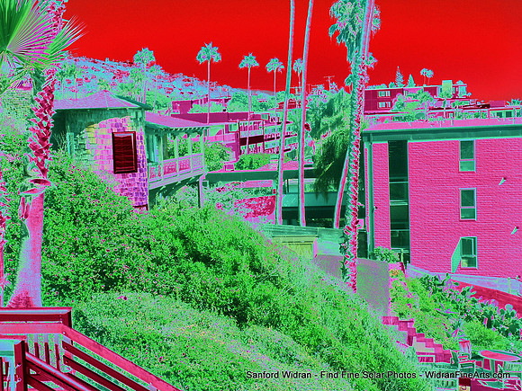 081-PICT1494