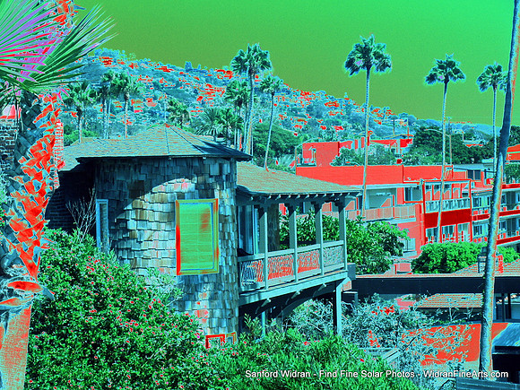 082-PICT1419
