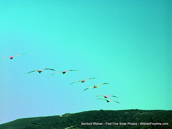 092-PICT1483