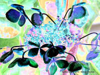 Thirty HD Metal Portfolio Prints